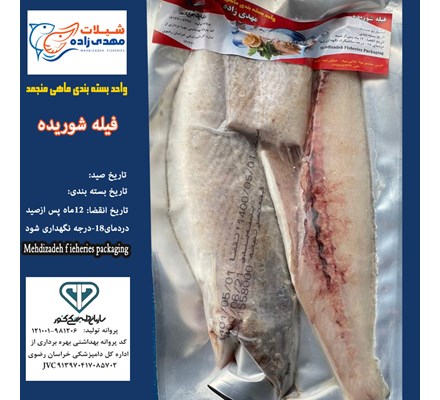 ماهی شوریده فیله وکیوم منجمد (کد200) شیلات مهدی زاده 09155159391